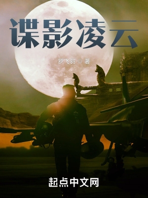 谍影凌云笔趣阁无错版